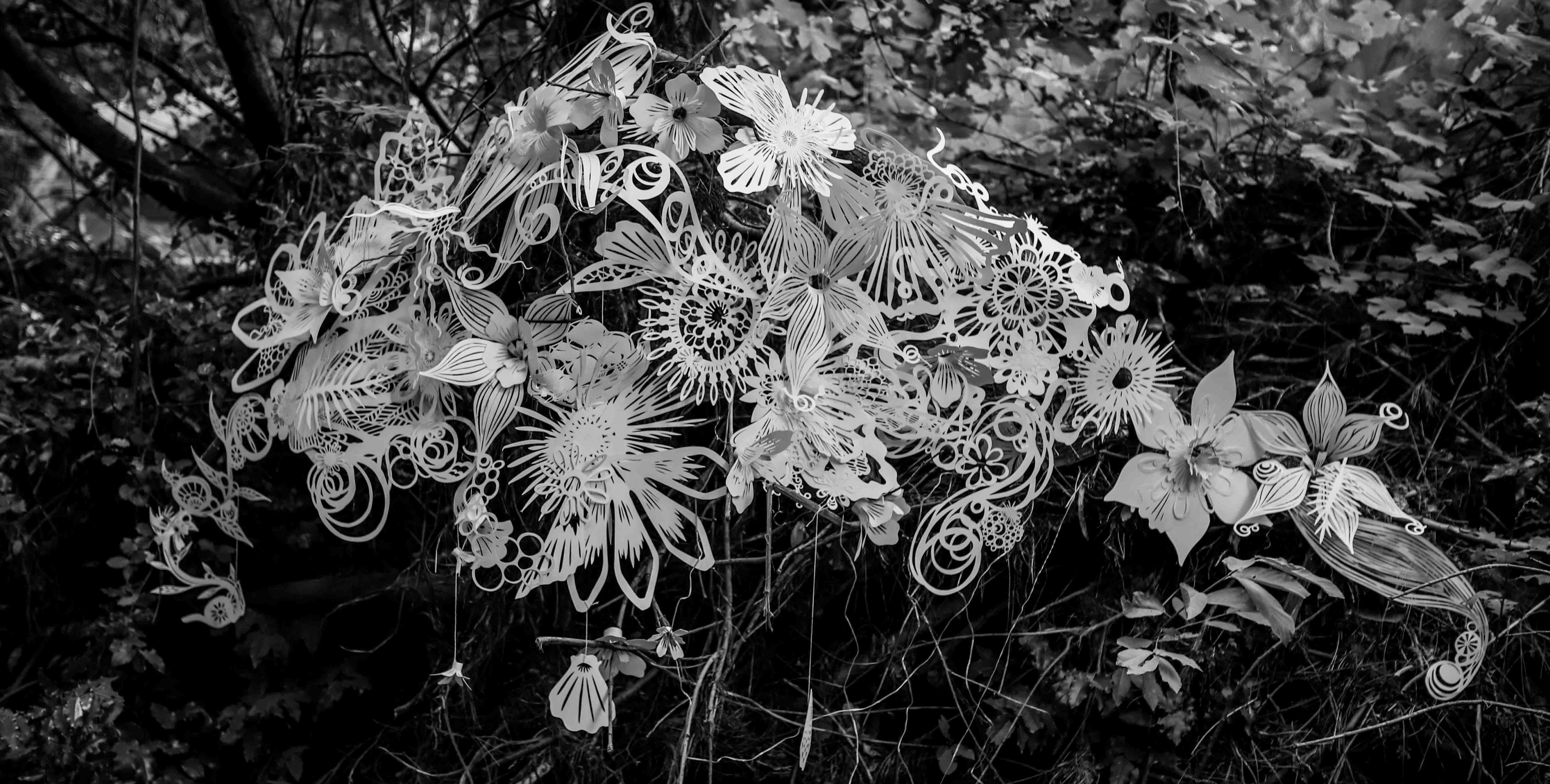 Aquatic Life cropped